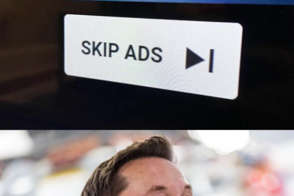 Twitter (X) in-stream ads, Elon Musk